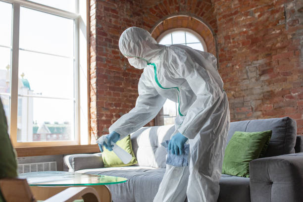 Reliable Herscher, IL Mold Removal & Remediation Solutions